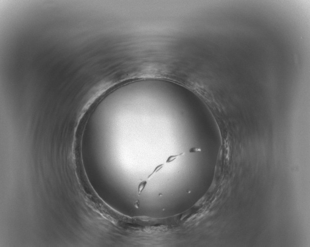 X0000062140292200512121249