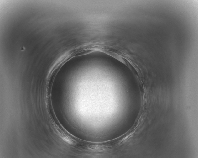 X0000062140293200512121249