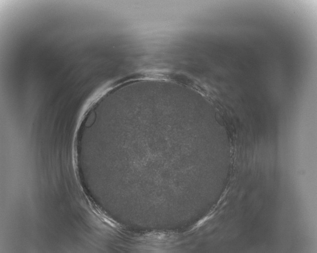 X0000062140294200512121248