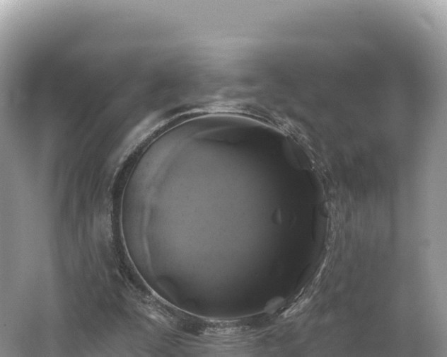 X0000062140295200512121248