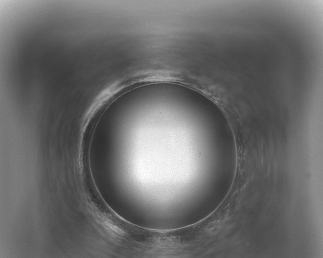 X0000062140296200512121248