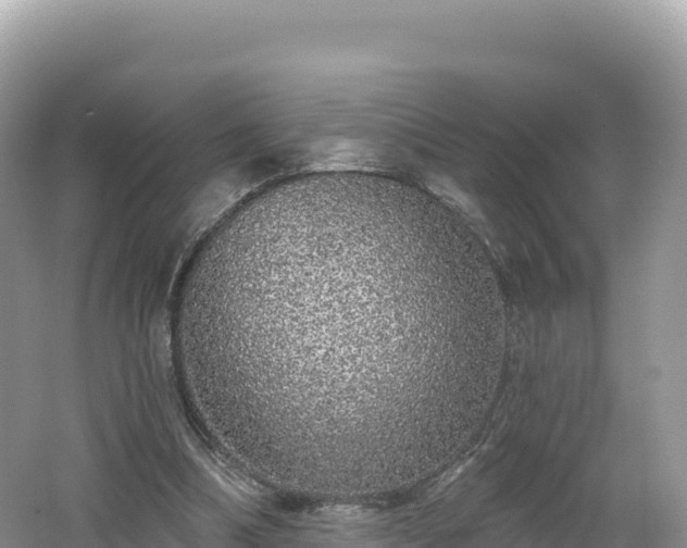 X0000062140298200512121248