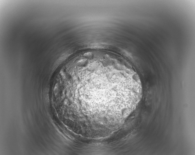 X0000062140299200512121248