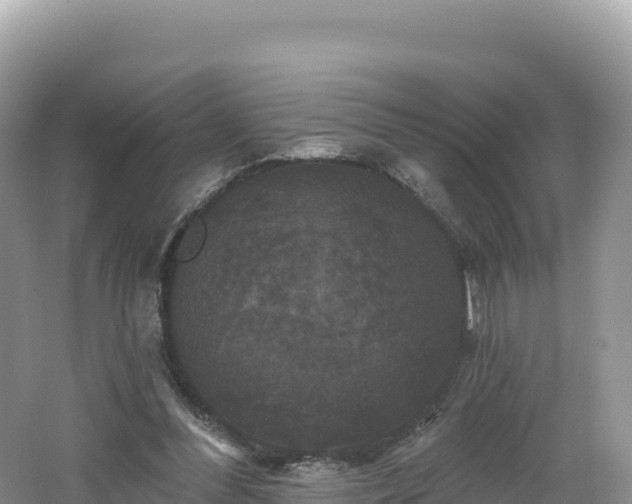 X0000062140300200512121248