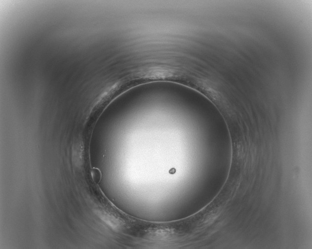 X0000062140304200512121248