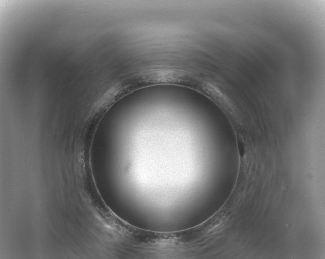 X0000062140306200512121248