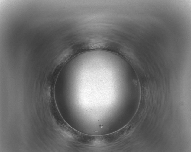 X0000062140308200512121248