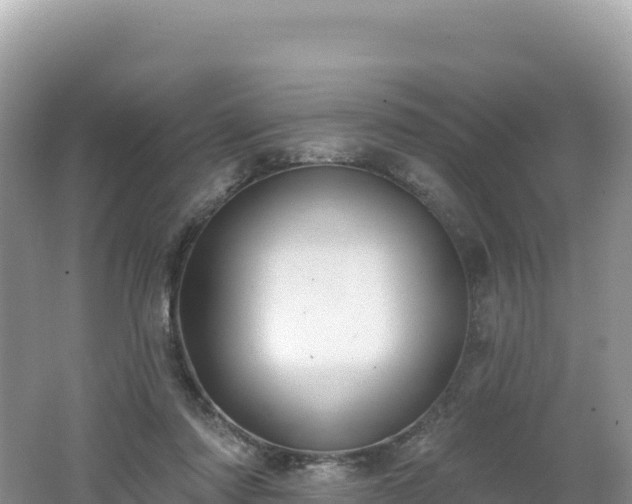 X0000062140310200512121248