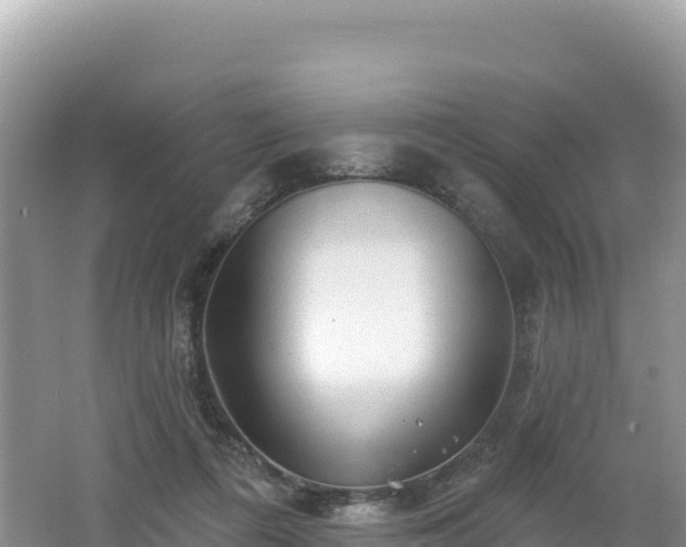 X0000062140312200512121248