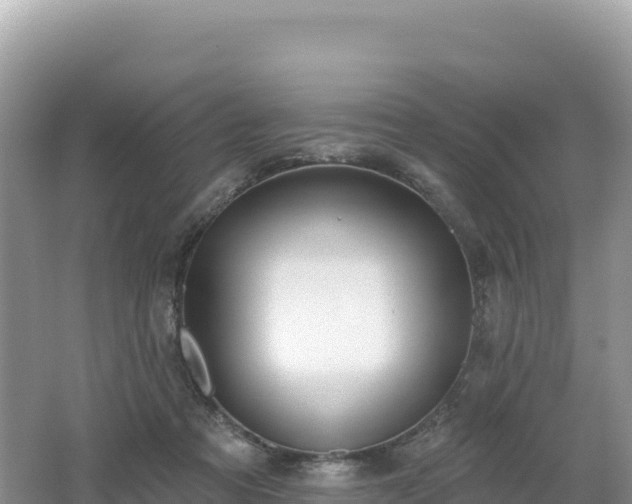 X0000062140313200512121248