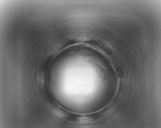 X0000062140315200512121248