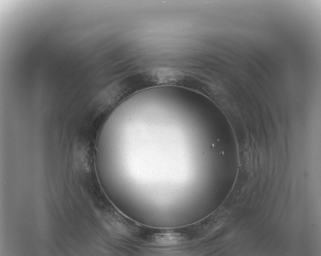 X0000062140316200512121248