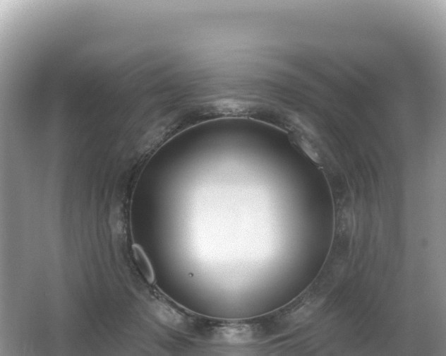 X0000062140317200512121248