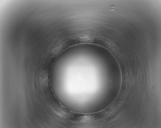 X0000062140320200512121248