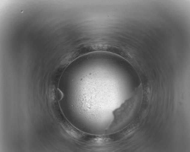 X0000062140323200512121248