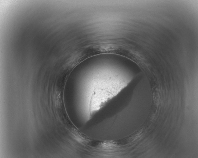 X0000062140327200512121248