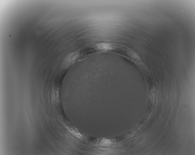 X0000062140330200512121248