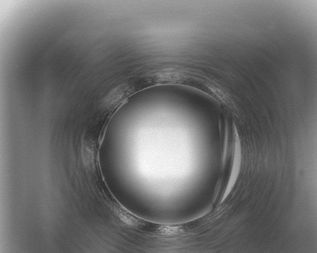 X0000062140333200512121248