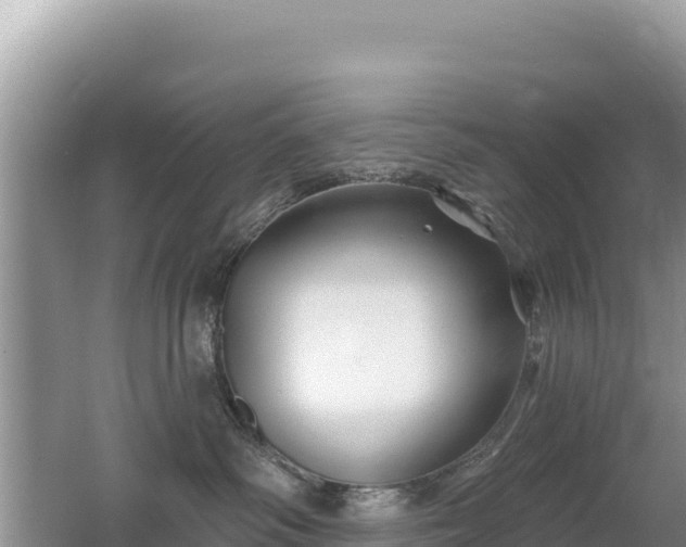 X0000062140334200512121248