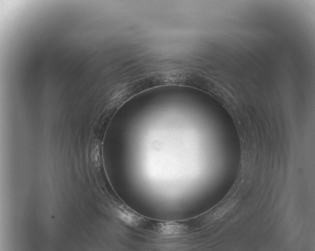 X0000062140336200512121248