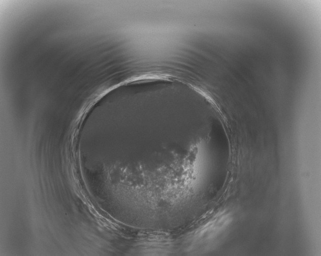 X0000062140337200512121247