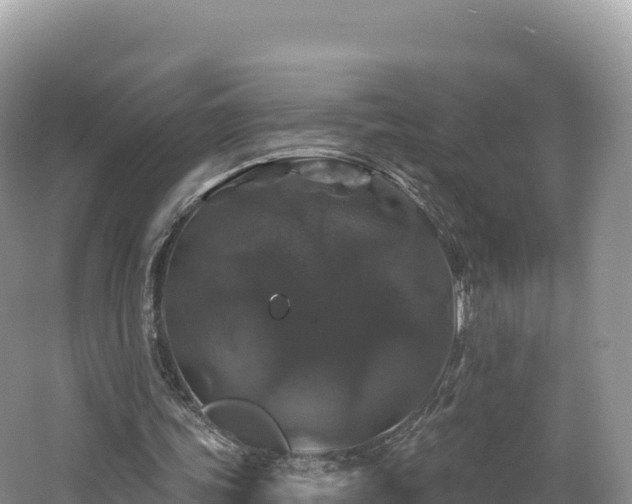 X0000062140339200512121247