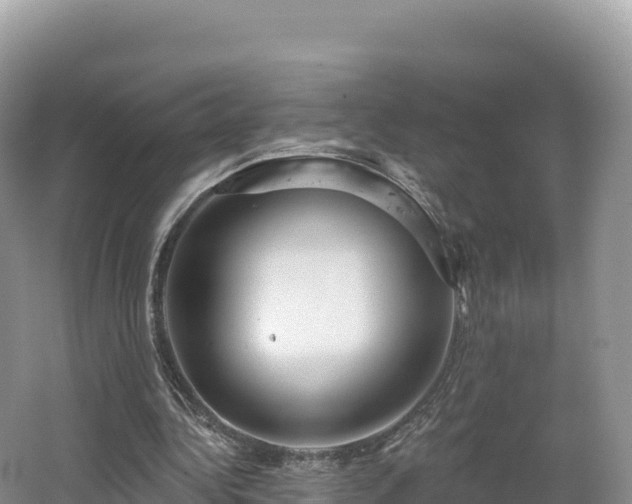 X0000062140340200512121247