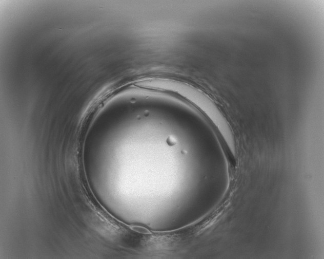 X0000062140341200512121247