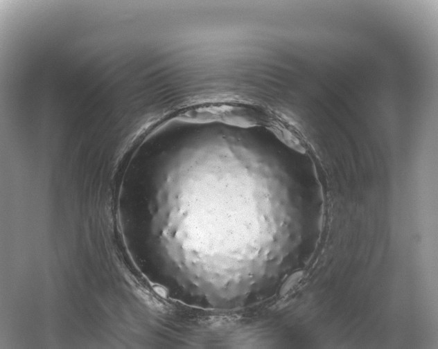 X0000062140345200512121247