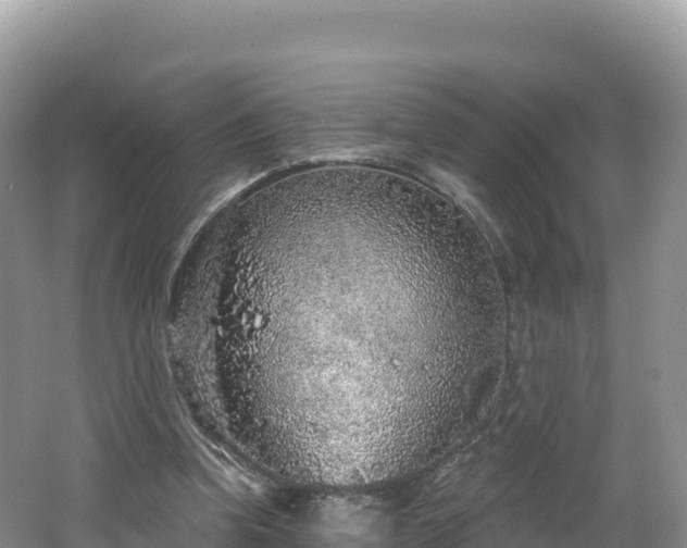 X0000062140346200512121247