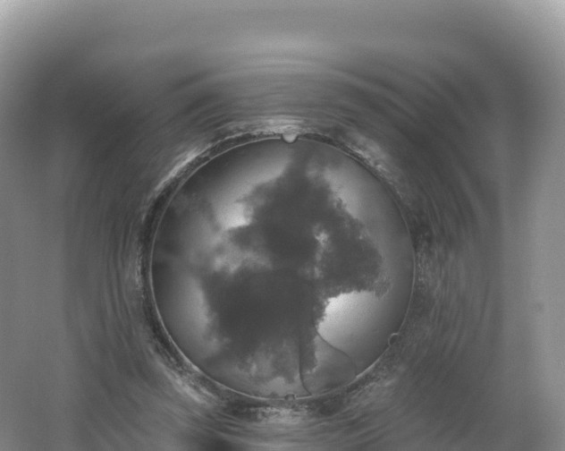 X0000062140347200512121247