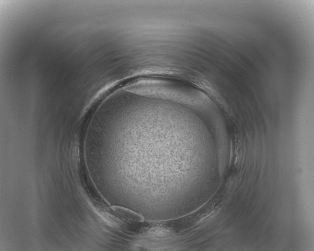 X0000062140348200512121247