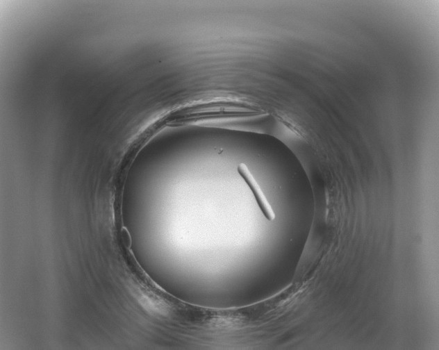 X0000062140350200512121247