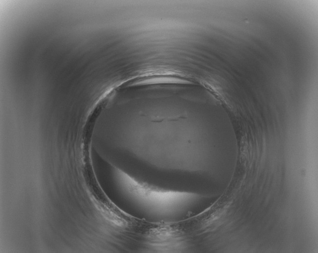 X0000062140351200512121247