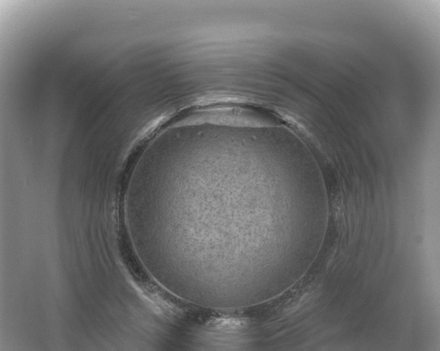 X0000062140352200512121247