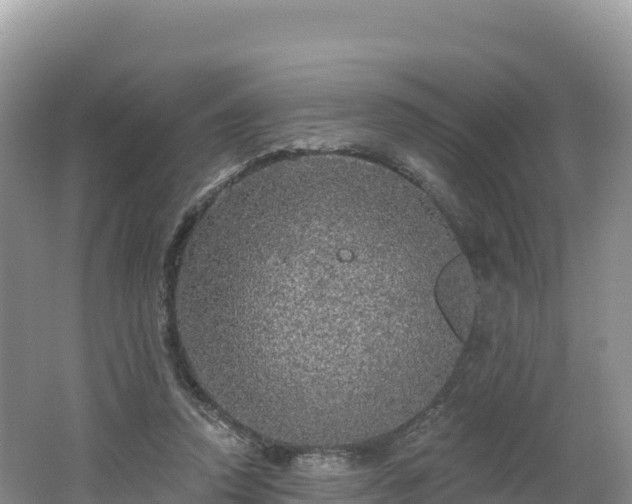 X0000062140354200512121247