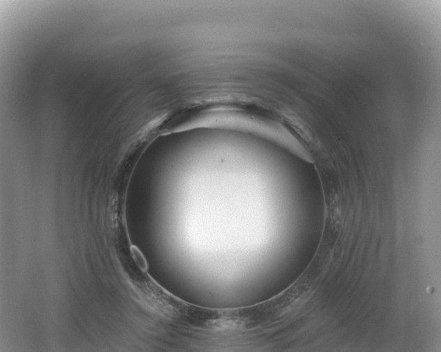 X0000062140356200512121247