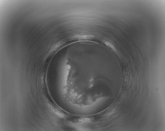 X0000062140357200512121247