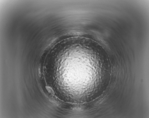 X0000062140358200512121247