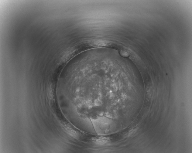 X0000062140359200512121247