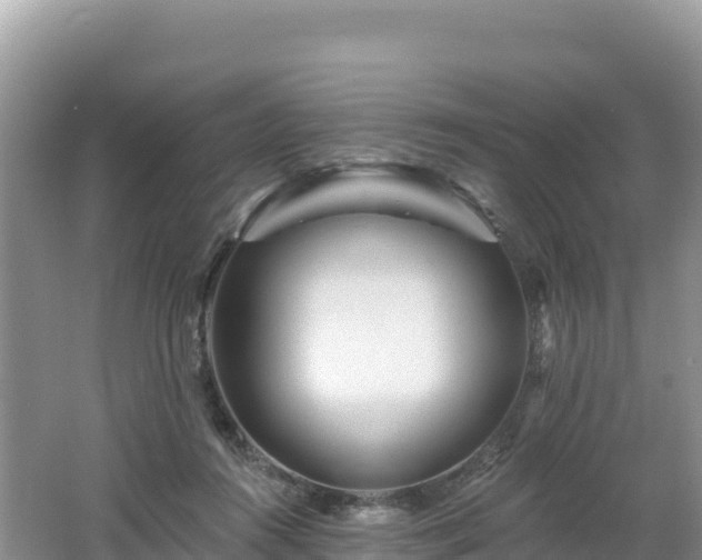 X0000062140360200512121247