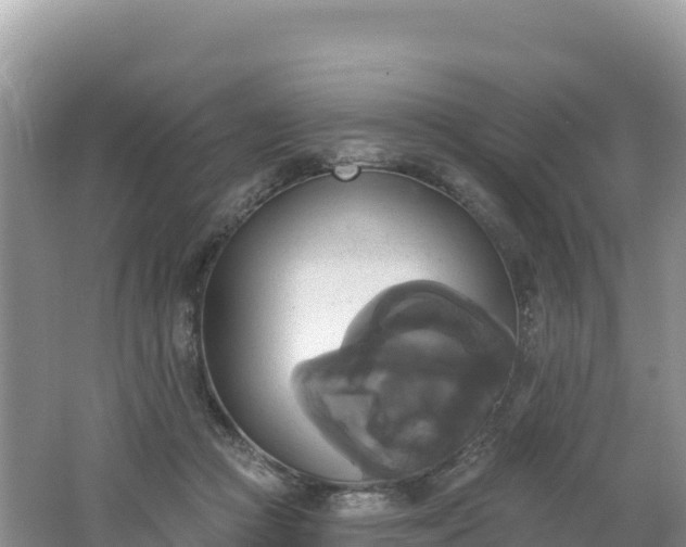 X0000062140361200512121247