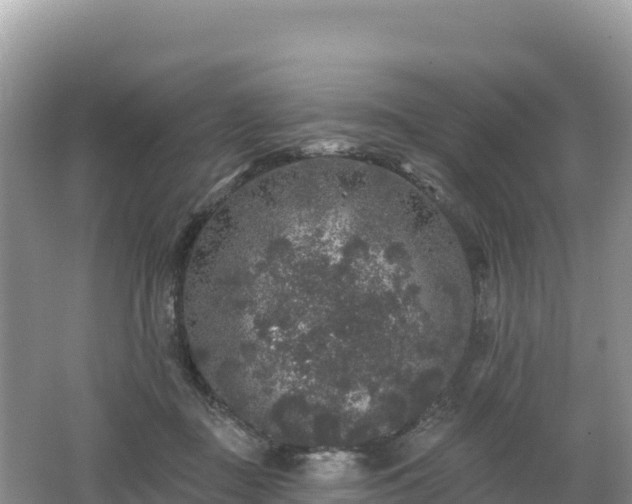 X0000062140363200512121247