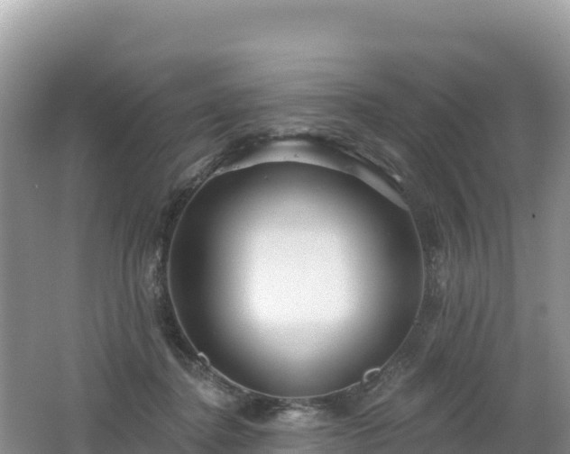 X0000062140364200512121247