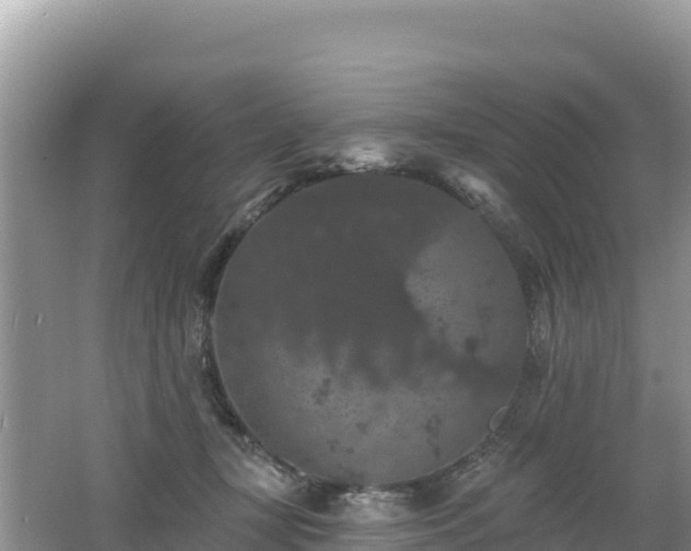 X0000062140367200512121247