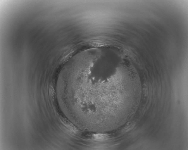 X0000062140371200512121248