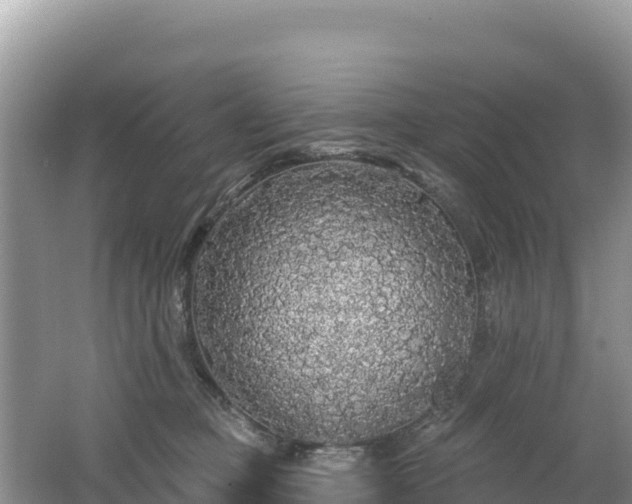 X0000062140373200512121248