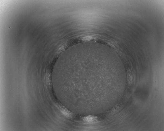 X0000062140375200512121248