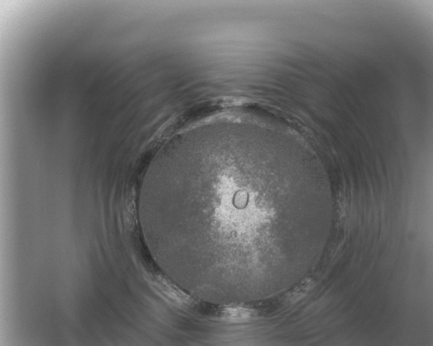 X0000062140376200512121248