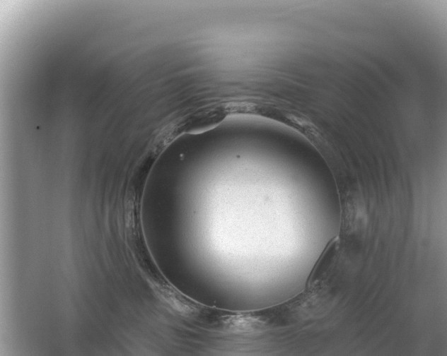 X0000062140379200512121248